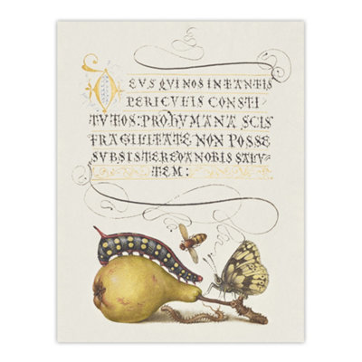 Artery8 Caterpillar Pear And Butterfly Calligraphy Wall Art Poster Print 12X16" from B&Q