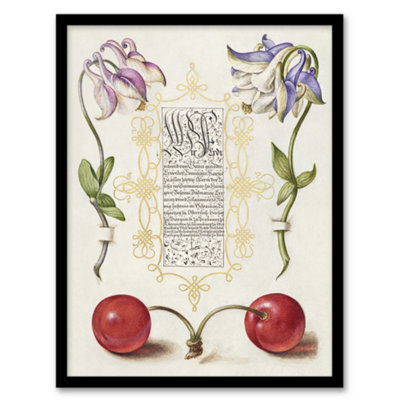B&Q -  Columbines And Sweet Cherries Calligraphy Framed Wall Art Print 12X16"