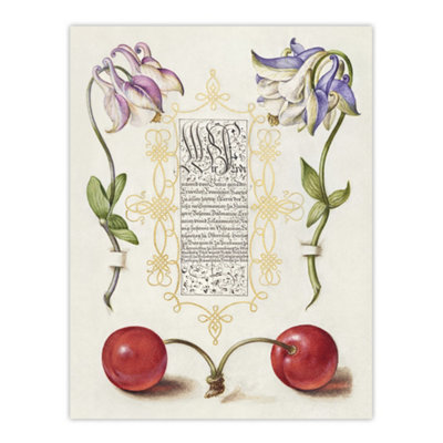 B&Q -  Columbines And Sweet Cherries Calligraphy Wall Art Poster Print 12X16"