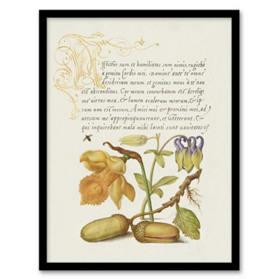 Artery8 Daffodil Flower And Oak Acorns Calligraphy Framed Wall Art Print 12X16" from B&Q
