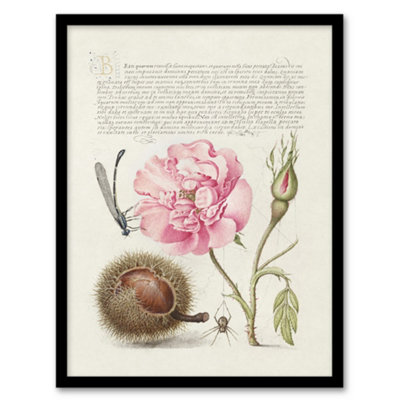Artery8 Damselfly Rose Chestnut Spider Calligraphy Framed Wall Art Print 12X16" from B&Q