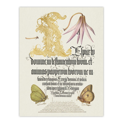 Artery8 Dog Tooth Violet And Butterflies Calligraphy Wall Art Poster Print 12X16" from B&Q