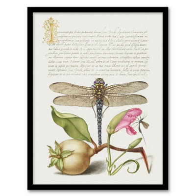 Artery8 Dragonfly Pear And Carnation Calligraphy Framed Wall Art Print 12X16" from B&Q