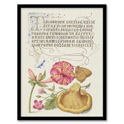 B&Q -  Flowers Mushroom And Butterfly Calligraphy Framed Wall Art Print 12X16"