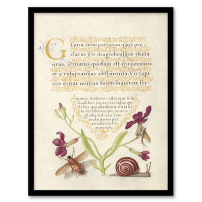 Artery8 Gillyflower Fly Mayfly And Snail Calligraphy Framed Wall Art Print 12X16" from B&Q