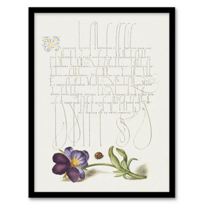 Artery8 Ladybird And Wild Pansy Calligraphy Framed Wall Art Print 12X16" from B&Q