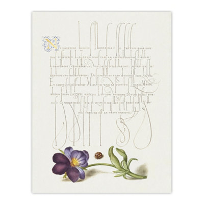 Artery8 Ladybird And Wild Pansy Calligraphy Wall Art Poster Print 12X16" from B&Q