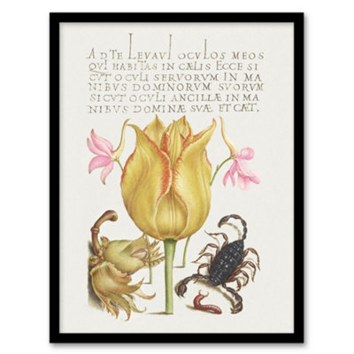 Artery8 Larkspurs Tulip And Scorpion Calligraphy Framed Wall Art Print 12X16" from B&Q