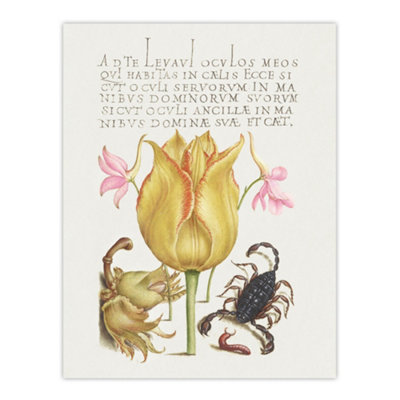 Artery8 Larkspurs Tulip And Scorpion Calligraphy Wall Art Poster Print 12X16" from B&Q