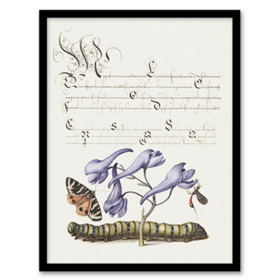 Artery8 Butterfly Caterpillar And Flower Calligraphy Framed Wall Art Print 12X16" from B&Q
