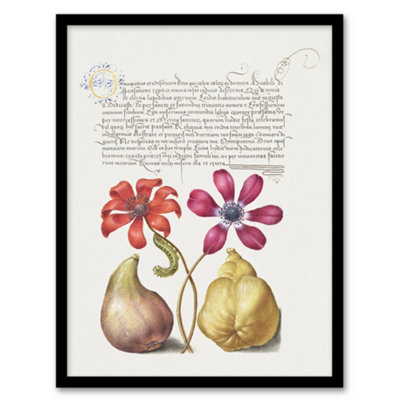 Artery8 Poppy Anemone Fig And Quince Calligraphy Framed Wall Art Print 12X16" from B&Q