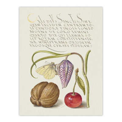 B&Q -  Snakeshead Walnut And Cherry Calligraphy Wall Art Poster Print 12X16"
