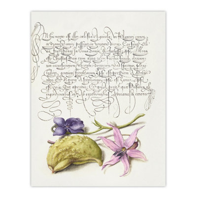 Artery8 Violet Blooms And Gourd Calligraphy Wall Art Poster Print 12X16" from B&Q