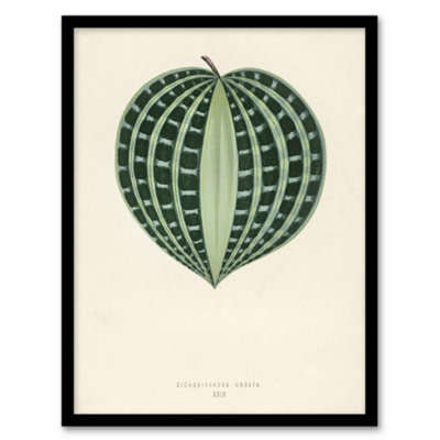 Artery8 Vintage Botanical Seersucker Plant Leaf Fawcett Framed Wall Art Print A4 from B&Q
