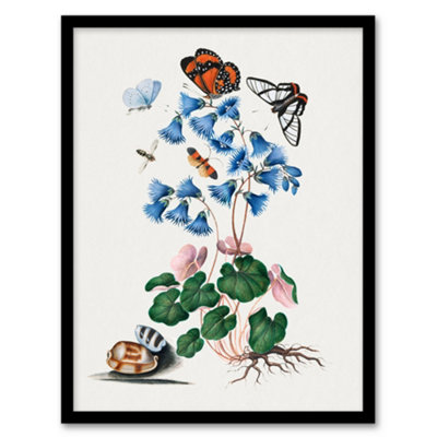 Artery8 Soldanella Flower And Butterflies Bolton Framed Wall Art Print A4 from B&Q