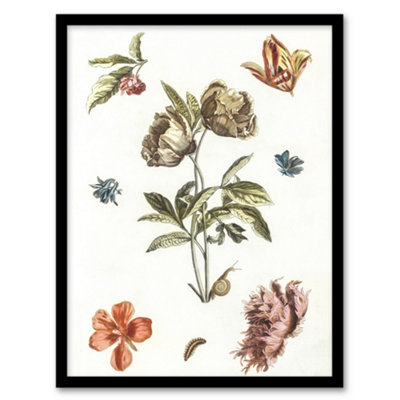 B&Q -  Flowers Snail And A Caterpillar Johan Teyler Framed Wall Art Print A4