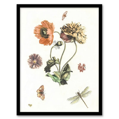 Artery8 Poppies Butterflies And Dragonfly Teyler Framed Wall Art Print A4 from B&Q