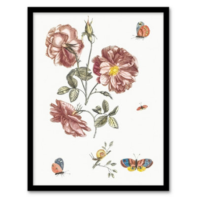 B&Q -  Rose Flowers Butterflies And A Snail Teyler Framed Wall Art Print A4