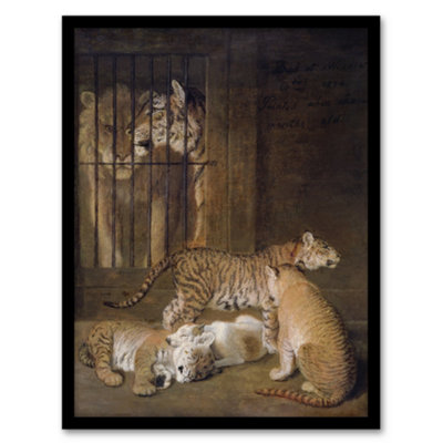 Artery8 Whelps Lion And Tigress In Zoo Cage Agasse Framed Wall Art Print A3 from B&Q