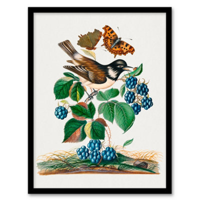 Artery8 Bramble Rubus Starling And Butterflies Bolton Framed Wall Art Print A3 from B&Q