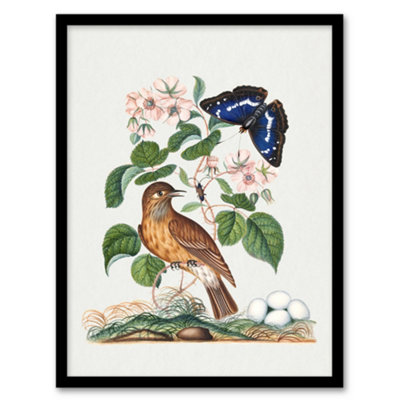 Artery8 Spotted Flycatcher And Purple Emperor Bolton Framed Wall Art Print A3 from B&Q