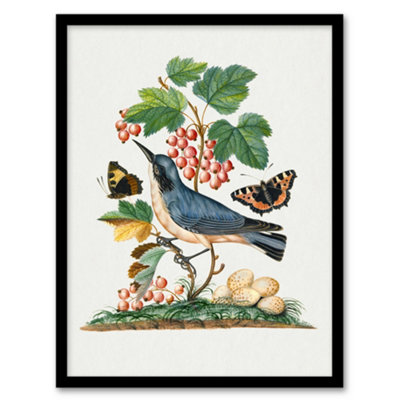 B&Q -  Warbler Bird And Red Admiral Butterfly Bolton Framed Wall Art Print A3