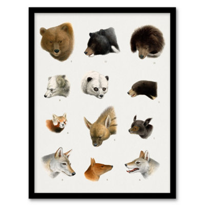 B&Q -  Small And Large Animals Vintage Artwork Lydekker Framed Wall Art Print A3