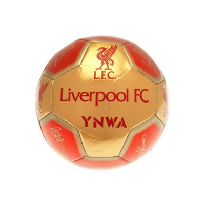 Liverpool Fc Signature Football Red/gold (5) from B&Q