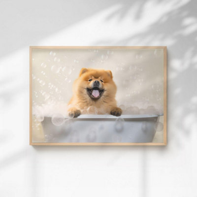 60 Second Makeover Limited Chow Chow In The Bath Quirky Animal Print A4 Size from B&Q