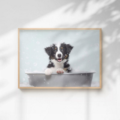 B&Q -  Collie In The Bath Quirky Animal Print A3 Size - Image 3