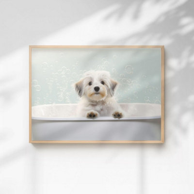 60 Second Makeover Limited Havanese In The Bath Quirky Animal Print A4 Size from B&Q