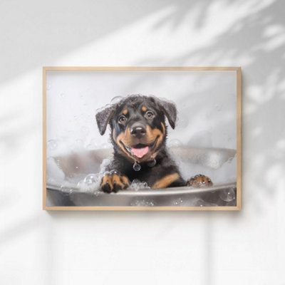 60 Second Makeover Limited Rottweiler In The Bath Quirky Animal Print A3 Size from B&Q