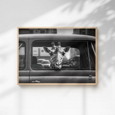 60 Second Makeover Limited Giraffe In A Car Print A3 Size from B&Q