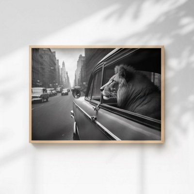 60 Second Makeover Limited Lion In A Car Print Poster A4 Size from B&Q