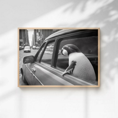 60 Second Makeover Limited Penguin In A Car Print A4 Size from B&Q