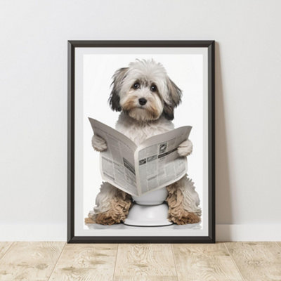 60 Second Makeover Limited Havanese On The Toilet Print A4 Size from B&Q