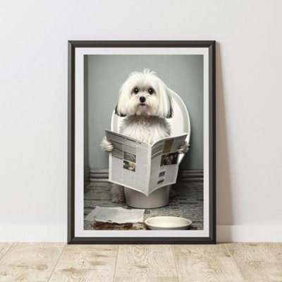60 Second Makeover Limited Maltese On The Toilet Print A4 Size from B&Q