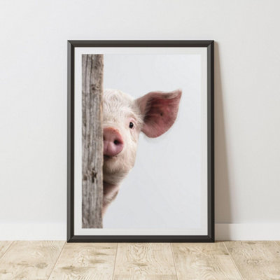 60 Second Makeover Limited Peeking Pig Print Wall Art Poster A3 Size from B&Q