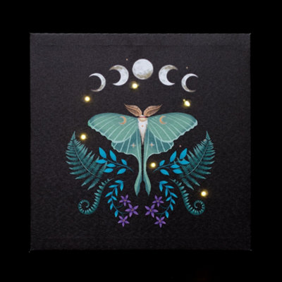  - Something Different Canvas Luna Moth Light Up Canvas Black/blue/white (One Size)
