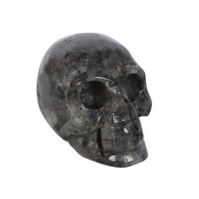 Something Different Dark Matter Labradorite Skull Crystal Black (One Size) from B&Q