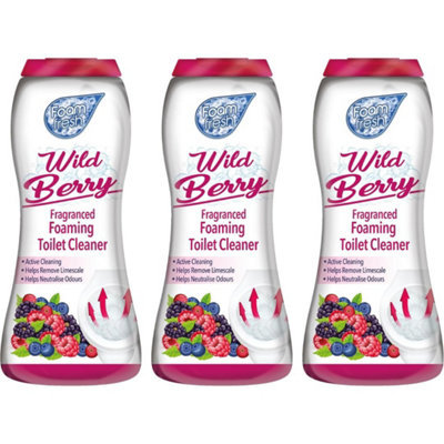 Duzzit Foam Fresh Foaming Toilet Cleaner Wild Berry X 3 370G