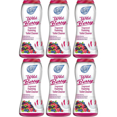 Duzzit Foam Fresh Foaming Toilet Cleaner Wild Berry X 6 370G