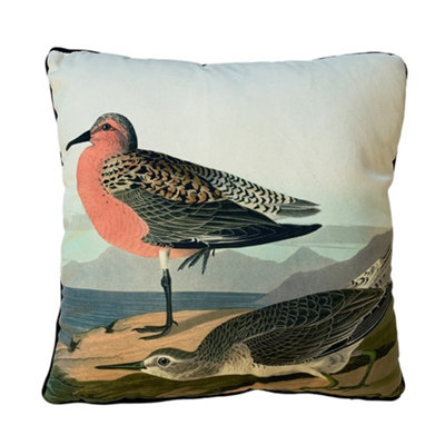 John James Audubon Red-Breasted Sandpiper Filled Cushion Multicoloured (40Cm X 40Cm) from B&Q