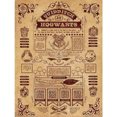 Harry Potter Quidditch At Hogwarts Framed Canvas Print - Image 5