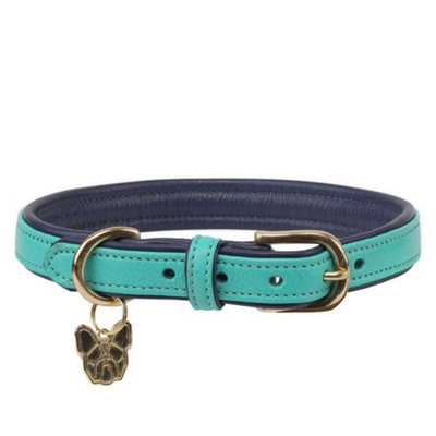 Digby & Fox Leather Padded Dog Collar Aqua (S - Neckline: 35Cm-40Cm)