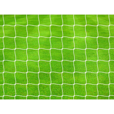  - Precision Pro Braided Football Net (Pack Of 2) White (6Ft X 12Ft)