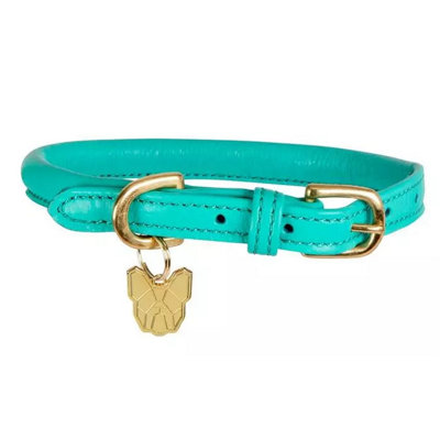 Digby & Fox Rolled Leather Buckle Dog Collar Teal (XxsNeckline: 23Cm-28Cm)