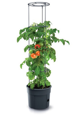 B&Q -  Urbn Garden Height 350mm Tomato Grower Tower Plastic Home Indoor/outdoor Plant Veg Flower Pot