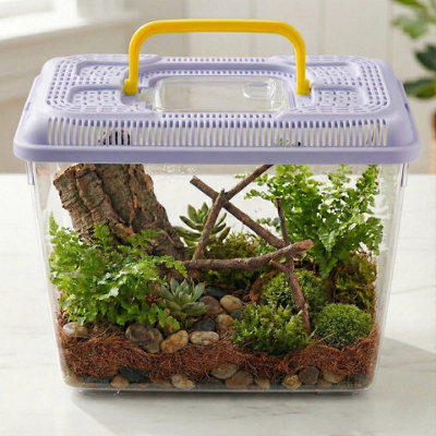 Urbn-Living Urbnliving Plastic Reptile Terrarium Snake Insect Spider Tarantula Transport Fish Tank BoxLilac from B&Q