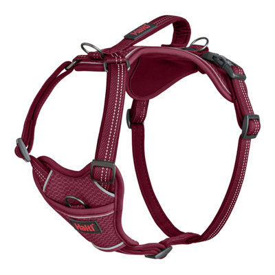 Halti Anatomy Dog Harness Magenta (S) from B&Q